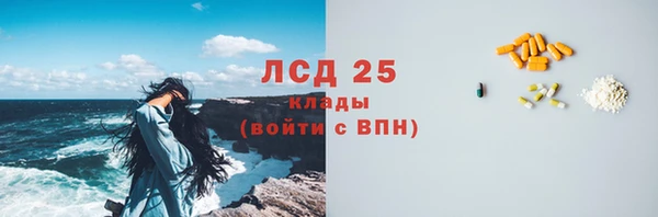 амф Магас